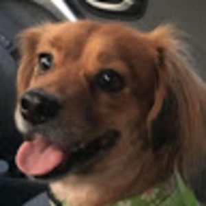 Meet your Posher, Nikole